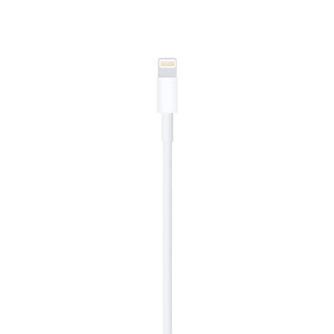 Apple Lightning to USB-A 1m Cable